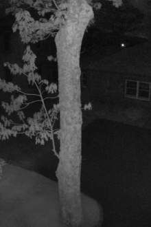 Nightvision Trailer