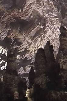 Nine Guided Tours Trailer