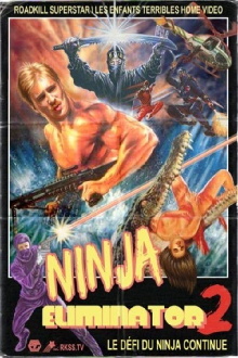 Ninja Eliminator 2: Quest of the Magic Ninja Crystal Trailer