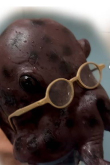 Nipple Hot Springs: The Octopus' Gratitude Trailer