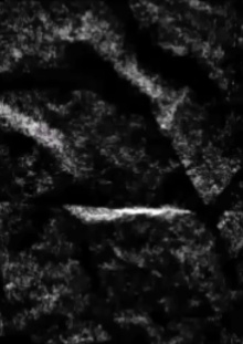 NO FUTURE Trailer