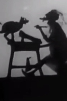 Noah Put The Cat Out Trailer