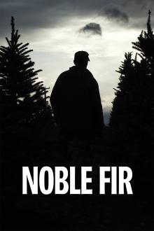 Noble Fir Trailer