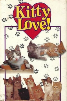 Non-Stop Kittens Trailer