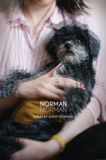 Norman Norman Trailer