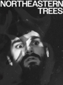 NORTHEASTERN TREES Trailer