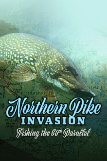 Northern Pike Invasion: Fishing the 60th Parallel Trailer