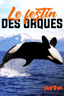 Norvège : le festin des orques Trailer