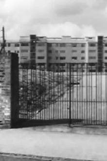 Norwood Trailer