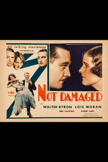 Not Damaged Trailer