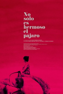 Not Only The Bird is Beautiful Trailer