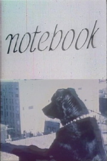 Notebook Trailer