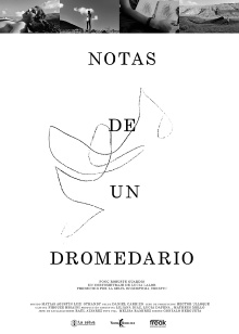 Notes from a Dromedary Trailer