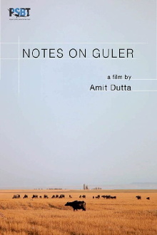 Notes on Guler Trailer