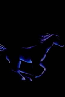 Noturno Trailer