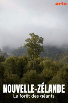 Nouvelle-Zélande, la forêt des géants Trailer