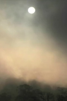 November Morning Trailer