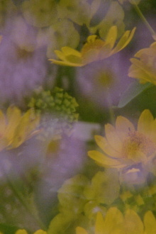 Now and in the time of our death Trailer