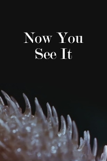 Now You See It Trailer