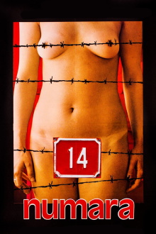 Number 14 Trailer
