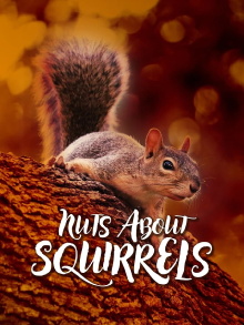 Nuts About Squirrels Trailer