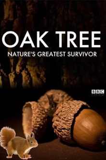 Oak Tree: Nature's Greatest Survivor Trailer