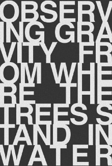 Observing Gravity From Where The Trees Stand In Water Trailer