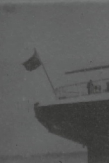 Ocean Greyhounds Trailer