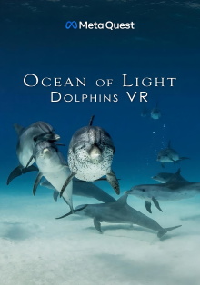 Ocean of Light - Dolphins VR Trailer
