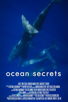 Ocean Secrets Trailer