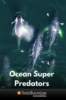 Ocean Super Predators Trailer