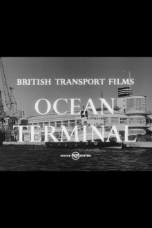 Ocean Terminal Trailer