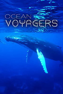 Ocean Voyagers Trailer