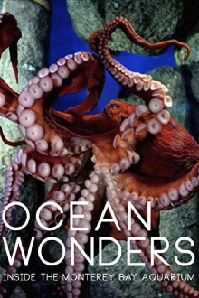 Ocean Wonders - Inside the Monterey Bay Aquarium Trailer