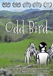 Odd Bird Trailer