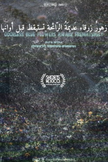 Odorless Blue Flowers Awake Prematurely Trailer