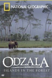 Odzala - Islands in the Forest Trailer