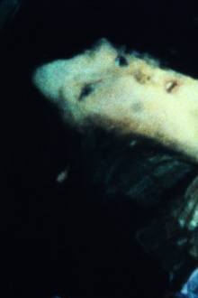 Of This Beguiling Membrane Trailer