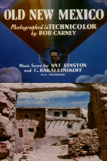 Old New Mexico Trailer