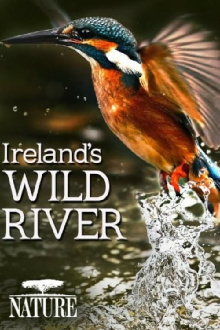 On a River in Ireland Trailer