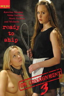 On Consignment 3 Trailer