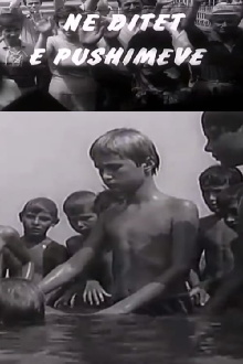 On Holidays Trailer