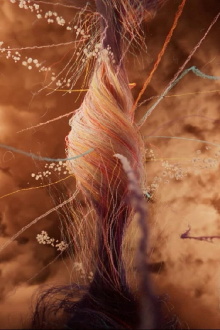On the 8th Day Trailer