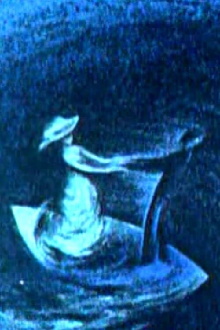 On the Beautiful Blue Danube Trailer