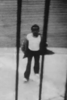 On the Corner Trailer