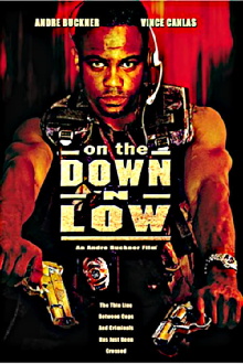 On the Down 'n Low Trailer