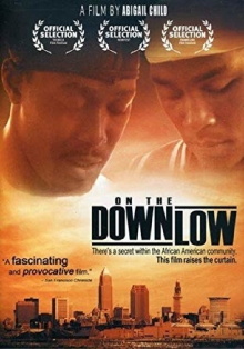 On the Downlow Trailer