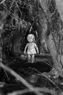 On the Other Side of the Woods Trailer