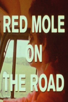 On the Road with Red Mole Trailer