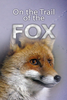 On The Trail Of The Fox Trailer